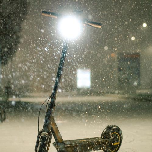 Ninebot G30 MAX D